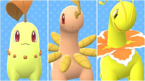 shiny chikorita evolution.